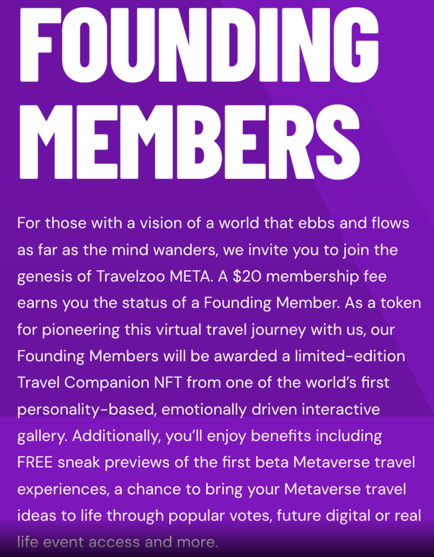 TravelZoo Meta Founding Members